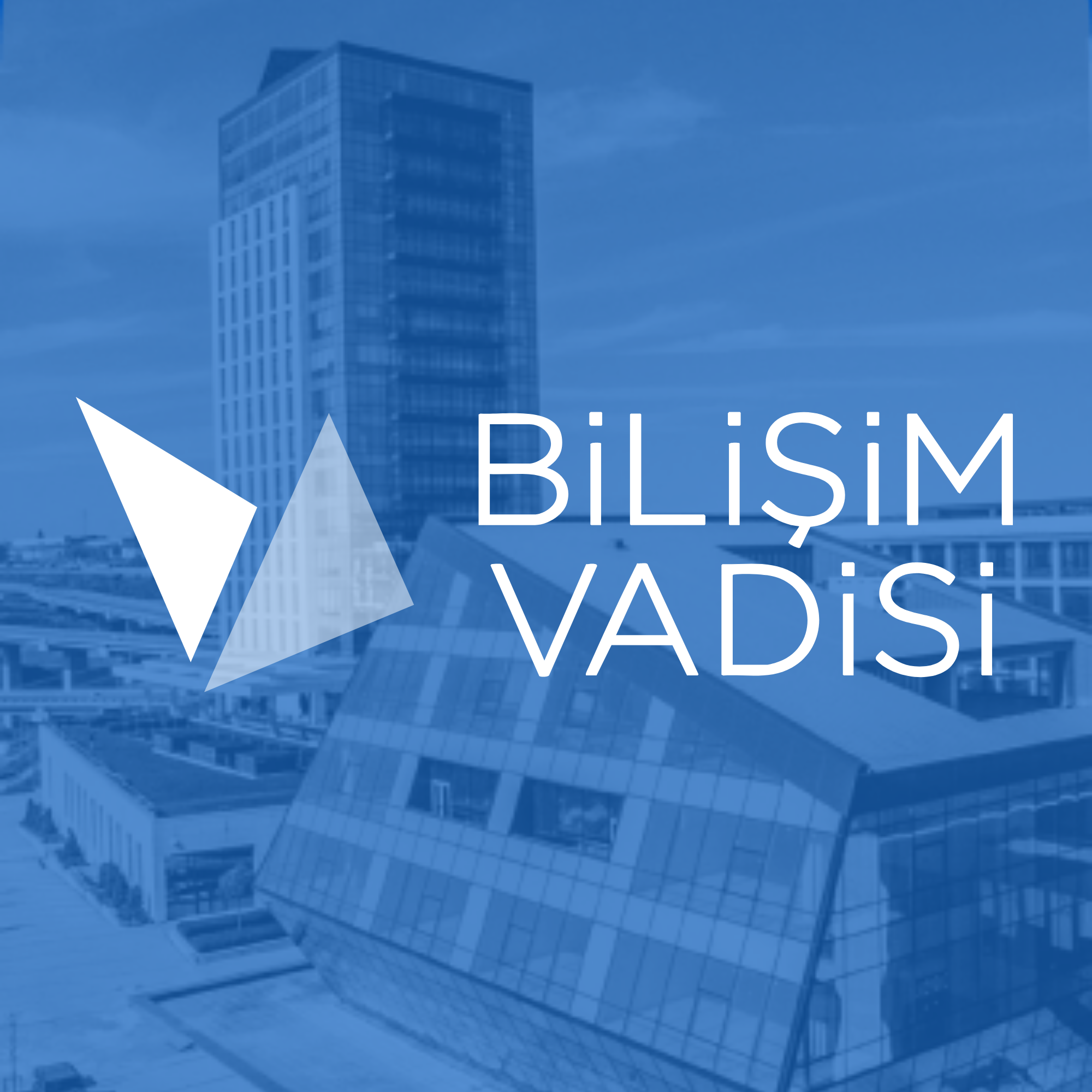 Bilişim Vadisi